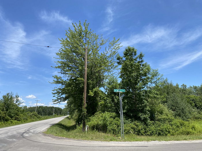Bentley - July 2021 (newer photo)